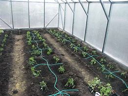 Капельный полив "ЭКО" (набор кап.лента 25м+комплектующие)