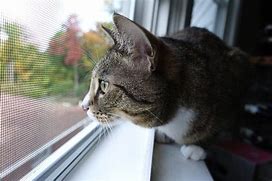 Москитная сетка 1,4м LUX (30м/рулон)